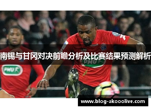 南锡与甘冈对决前瞻分析及比赛结果预测解析